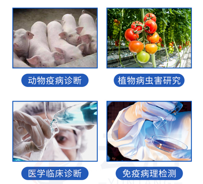 动物疫病检测仪