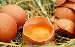 兽药残留检测仪如何助力鸡蛋检测工作？